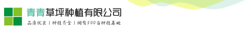 龙8头号玩家官网